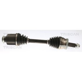 Compre Junta, tampa das válvulas da TRISCAN 515-2594 a um preço baixo por 21,65 €