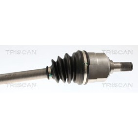 Acquista Guarnizione, Copritestata da TRISCAN 515-4041 a buon mercato per soli 16,23 €