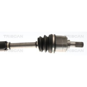 Acquista Guarnizione, Copritestata da TRISCAN 515-4061 a buon mercato per soli 30,70 €