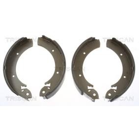 Bremsbackensatz 8100 10272 von TRISCAN günstig für 56,19 € online kaufen