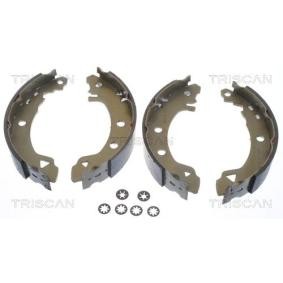 Compre Jogo de maxilas de travão da TRISCAN 8100 12523 a um preço baixo por 29,48 €