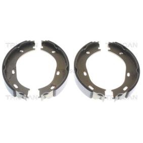 Bremsbackensatz, Feststellbremse 8100 23217 von TRISCAN günstig für 27,07 € online kaufen