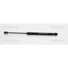 Bremsbackensatz 8100 43015 von TRISCAN günstig für 32,66 € online kaufen