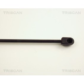 Bremsbeläge 8110 43022 von TRISCAN günstig für 24,62 € online kaufen