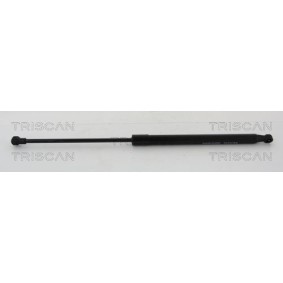 Bremsscheibe 8120 11117 von TRISCAN günstig für 25,08 € online kaufen