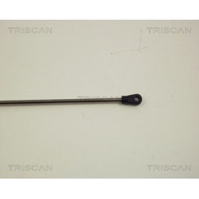 Bremsscheibe 8120 11118 von TRISCAN günstig für 25,52 € online kaufen