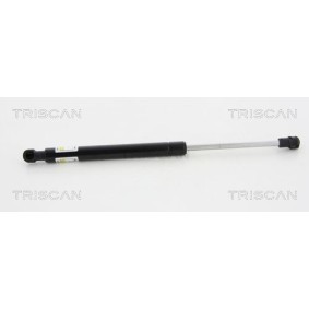 Bremsscheibe 8120 11152 von TRISCAN günstig für 50,64 € online kaufen