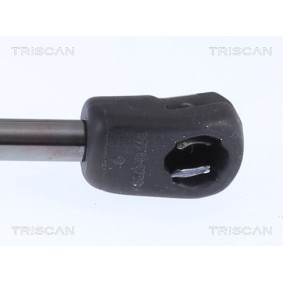 Bremsscheibe 8120 11172 von TRISCAN günstig für 33,90 € online kaufen