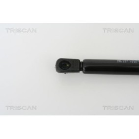Bremsscheibe 8120 11173 von TRISCAN günstig für 43,12 € online kaufen