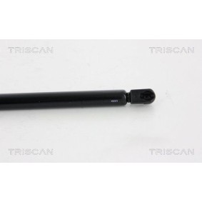 Comprar Tambor de freno de TRISCAN 8120 11203 a bajo precio de 28,58 €