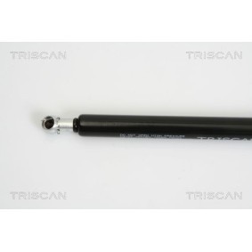 Bremsscheibe für FORD von TRISCAN