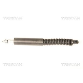 Bremsscheibe für FORD von TRISCAN