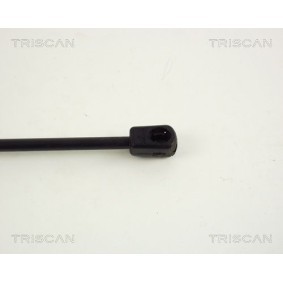 Bremsscheibe 8120 21103 von TRISCAN günstig für 26,89 € online kaufen