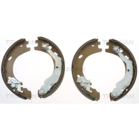 Bremsscheibe 8120 24141 von TRISCAN günstig für 25,01 € online kaufen