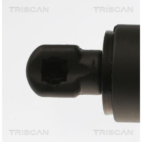 Bremsscheibe für RENAULT von TRISCAN