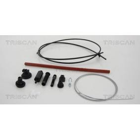 Acquista Cavo acceleratore da TRISCAN online per C15 Station wagon a prezzi moderati