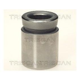 Comprar Émbolo, pinza del freno de TRISCAN 8170 233306 a bajo precio de 22,59 €