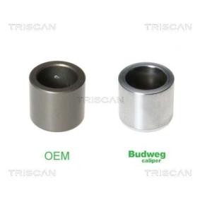Acquista Pistoncino pinza freno da TRISCAN 8170 233309 a buon mercato per soli 17,34 €