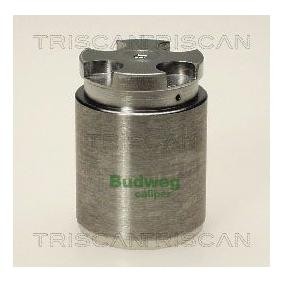 Acquista Pistoncino pinza freno da TRISCAN 8170 233411 a buon mercato per soli 29,72 €