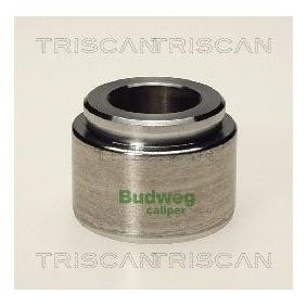 Acquista Pistoncino pinza freno da TRISCAN 8170 234003 a buon mercato per soli 21,79 €
