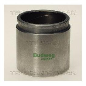 Acquista Pistoncino pinza freno da TRISCAN 8170 234515 a buon mercato per soli 17,05 €