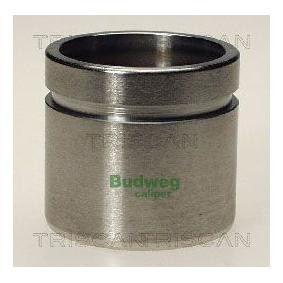 Compre Êmbolo, pinça do travão da TRISCAN 8170 234843 a um preço baixo por 20,53 €