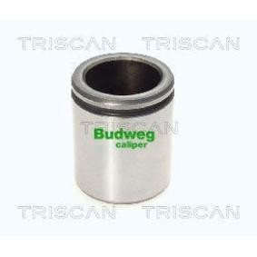 Acquista Pistoncino pinza freno da TRISCAN 8170 234856 a buon mercato per soli 26,51 €