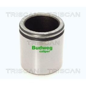 Acquista Pistoncino pinza freno da TRISCAN 8170 235208 a buon mercato per soli 23,52 €