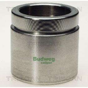 Kolben, Bremssattel 8170 235418 von TRISCAN günstig für 24,91 € online kaufen