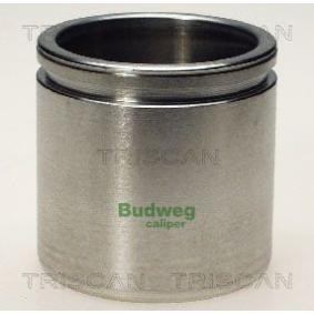 Kolben, Bremssattel 8170 235435 von TRISCAN günstig für 23,05 € online kaufen