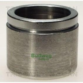 Achetez des Piston, étrier de frein TRISCAN 8170 236032 à prix pour 34,73 €
