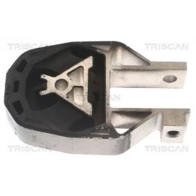 Axialgelenk, Spurstange 8500 10204 von TRISCAN günstig für 26,55 € online kaufen