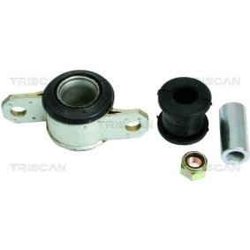 Compre Suspensão, braço oscilante da TRISCAN 8500 10806 a um preço baixo por 11,79 €