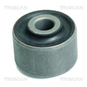 Acquista Supporto braccio oscillante da TRISCAN 8500 12800 a buon mercato per soli 22,98 €