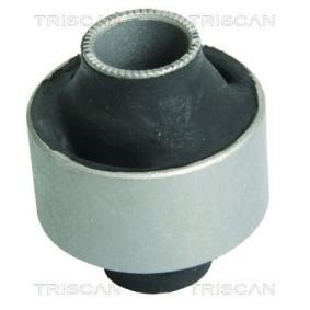 Compre Suspensão, braço oscilante da TRISCAN 8500 13805 a um preço baixo por 9,87 €