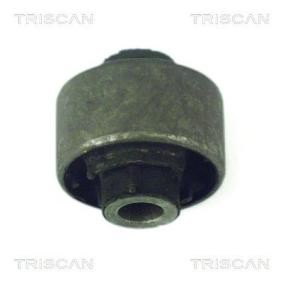 Compre Suspensão, braço oscilante da TRISCAN 8500 16802 a um preço baixo por 12,37 €