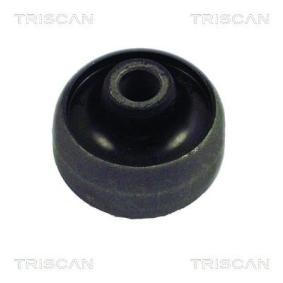 Compre Suspensão, braço oscilante da TRISCAN 8500 16819 a um preço baixo por 8,97 €