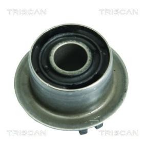 Compre Suspensão, braço oscilante da TRISCAN 8500 23821 a um preço baixo por 16,93 €