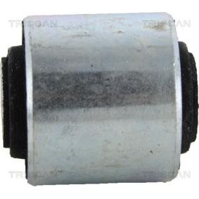 Compre Suspensão, braço oscilante da TRISCAN 8500 25805 a um preço baixo por 4,60 €