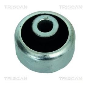 Compre Suspensão, braço oscilante da TRISCAN 8500 25811 a um preço baixo por 17,85 €