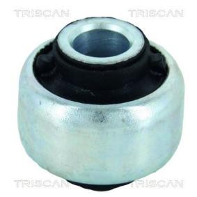 Compre Suspensão, braço oscilante da TRISCAN 8500 25818 a um preço baixo por 14,54 €