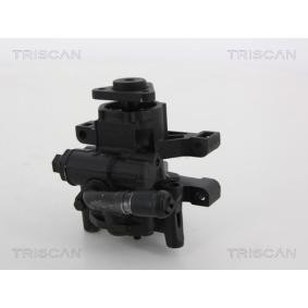 Achetez des Pompe de direction assistée TRISCAN 8515 16632 à prix pour 321,38 €