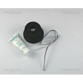Compre Jogo de foles, veio de transmissão da TRISCAN 8540 13801 a um preço baixo por 13,43 €