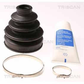 Acquista Kit cuffia, semiasse da TRISCAN 8540 13903 a buon mercato per soli 15,84 €