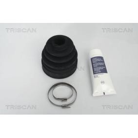 Acquista Kit cuffia, semiasse da TRISCAN 8540 18901 a buon mercato per soli 17,94 €