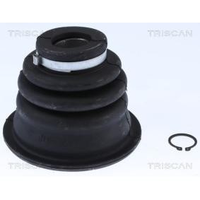Comprar Juego de fuelle, árbol de transmisión de TRISCAN 8540 25906 a bajo precio de 41,02 €