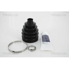 Acquista Kit cuffia, semiasse da TRISCAN 8540 43806 a buon mercato per soli 43,16 €