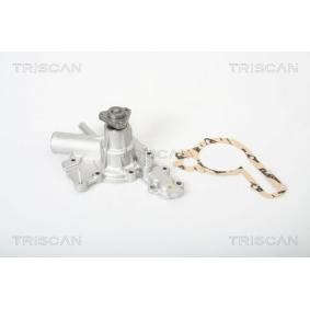 Acquista Pompa acqua da TRISCAN online per 75 (162B) a prezzi moderati