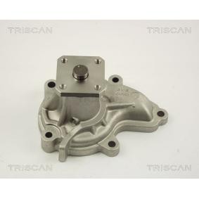 Comprar Bomba de agua de TRISCAN 8600 14007 a bajo precio de 62,23 €