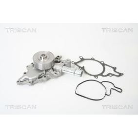 Acquista Pompa acqua da TRISCAN 8600 23044 a buon mercato per soli 106,09 €